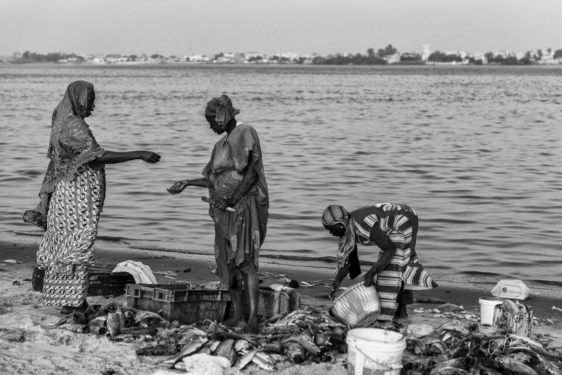 Street-Photography_147