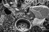 Street-Photography_015