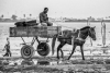 Street-Photography_148
