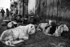 Street-Photography_156