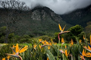 Sudafrica2016_09.jpg