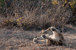 Sudafrica2016_40.jpg