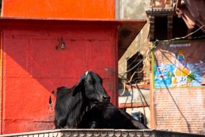 Gange_06.jpg