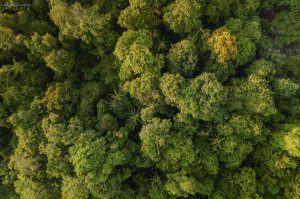 DJI_0036-Modifica.jpg