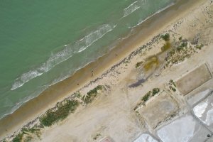 DJI_0396.jpg