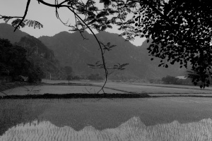 Vietnam_244.jpg