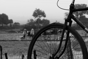 Vietnam_236.jpg