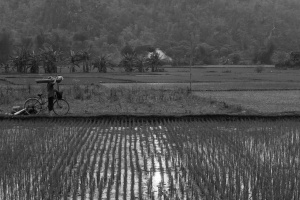 Vietnam_231.jpg