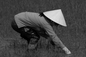 Vietnam_134.jpg