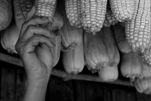Vietnam_087.jpg