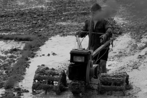 Vietnam_212.jpg